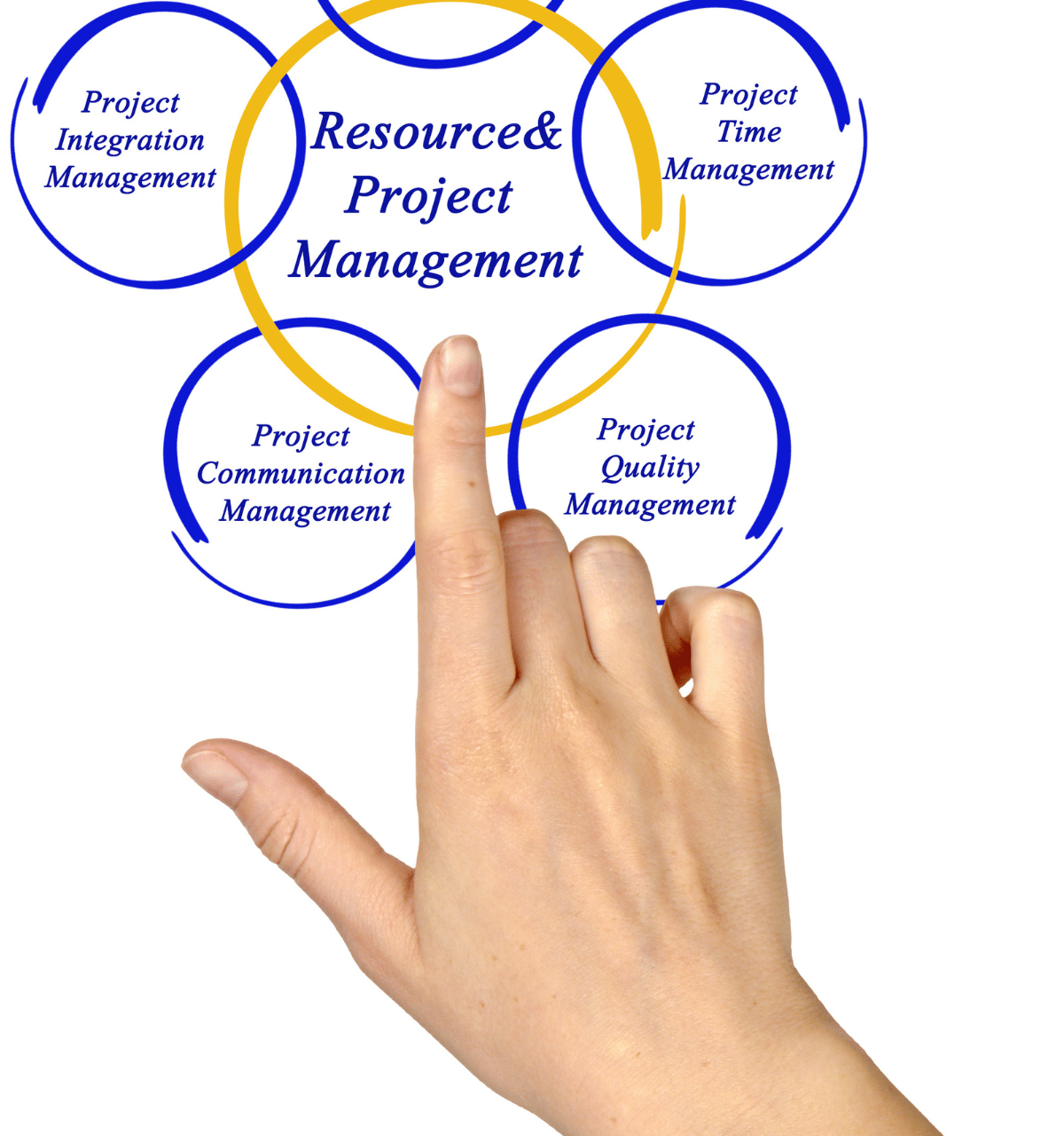 project delivery support https://phase-design.co.uk/wp-content/uploads/2026/02/project-delivery-support-1200x1280.png